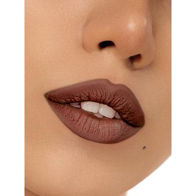 Daily Life Forever52 Velvet Matte Lipstick Ft022 2.8 gm - Lipsticks