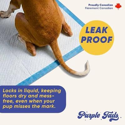 Purple Tails Air Series Pet Training Pad Large) (Pack of 60) - Pet Healthcare