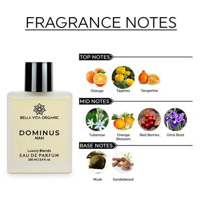 Bella Vita Organic Dominus Edp Strong Perfume 100 ml - Men Perfumes (Edt/Edp)