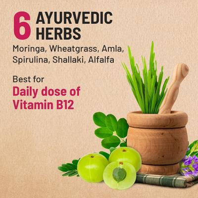 Gynoveda Ayurvedic Vitamin B12 Capsule 30's - Multi-Vitamins