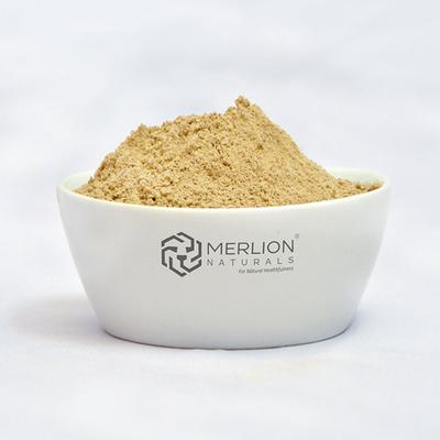 Merlion Naturals Fuller's Earth Powder 100 gm - Face Creams