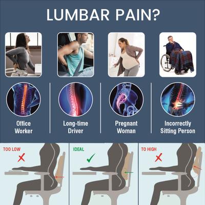 AccuSure Back Rest Chair 1's - Back/Abdomen Supports