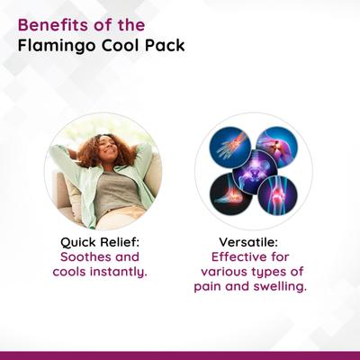 Flamingo Cool Pack Large (HC-1010) - Hot Pack/Ice Bag