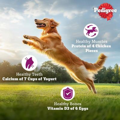 Pedigree Adult Chicken Biryani 1 kg - Pet Healthcare