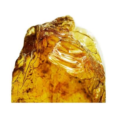 Davidoff Cool Water Intense Eau De Parfum 125 ml - Perfumes (Edt/Edp)