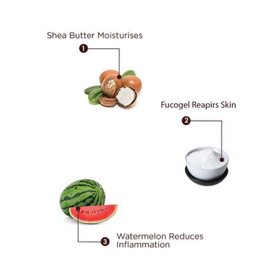 The Skin Story Daily Repair Moisturising Cream 50 gm - Face Moisturizers