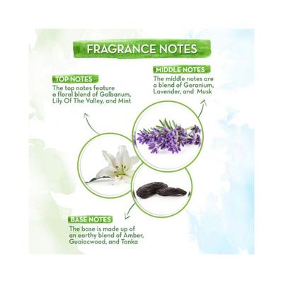 Mamaearth ME White Musk Eau De Parfum 50ml - Women Perfumes (Edt/Edp)