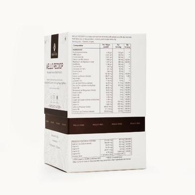 WelloTree Wello Recoop Protein Powder - Chocolate Flavour (Pack Of 6 x 21g) 1's - Protein Drink