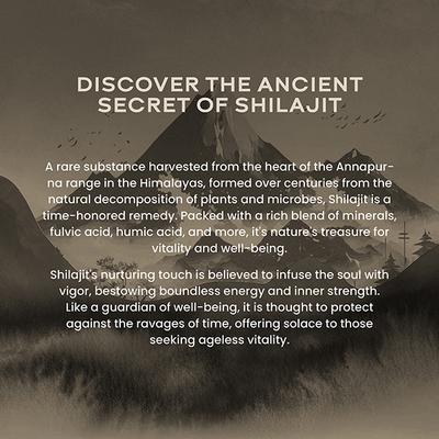 Wellbeing Nutrition Pure & Original Himalayan Shilajit Resin 10 gm - Multi-Vitamins