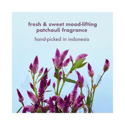 Love Beauty And Planet Onion, Blackseed & Patchouli Hairfall Control Sulfate Free Shampoo 400 ml - Shampoos