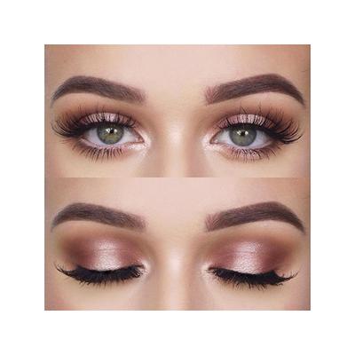 Miss Rose 5 Color Eyeshadow/Highlighter 7001 - 383 N10 10 gm - Eyeshadow, Bases & Primers
