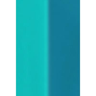 MyGlamm 2IN1 Nail Paint-Poolside Soiree 1 gm - Nail Polish