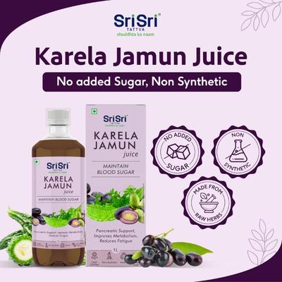 Sri Sri Tattva No Added Sugar Juice - Karela Jamun 1000 ml - Ayurvedic Juices