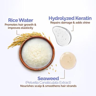 Mamaearth Rice Water Shampoo with Rice Water & Keratin for Damage Repair - Reduces Split Ends 400 ml - Shampoos