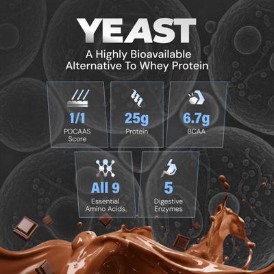 Nutrabay Yeast Protein Powder - Rich Chocolate Creme 1 kg - Whey Proteins