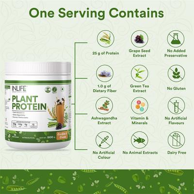 Inlife Plant Protein Powder - Cookies & Cream 500 gm - Protein Drink