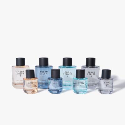 Marks & Spencer Spiced Amber Eau De Toilette 100 ml - Body Mist/Spray