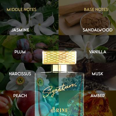 Signature Eau De Parfum Spray - Brine 100 ml - Perfumes (Edt/Edp)