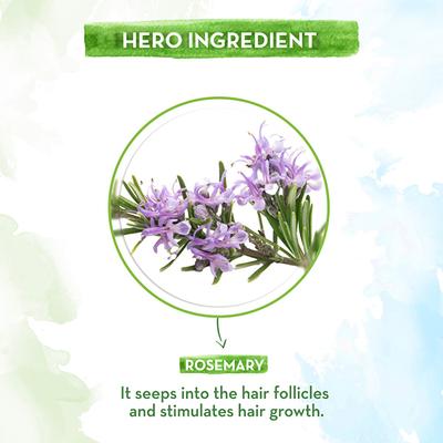 Mamaearth Rosemary Essential Oil for Hair Growth, 100 Percent Pure and Natural 15 ml - Essential Oils