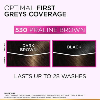 L'Oreal Paris Casting Creme Gloss Hair Color, 530 Praline Brown 87.5g+72ml 1's - Crème