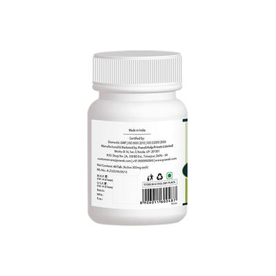 Pravek Arshoghni Vati (S.Y.S) Tablets 40's - Diabetes Care (Ayush)