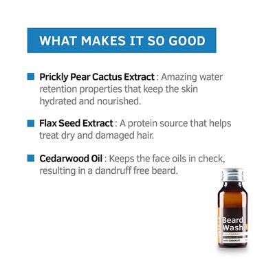 Ustraa Anti-Dandruff Beard Wash 60 ml - Beard Wash