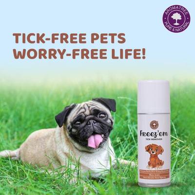 Aerol Freezem Tick Sprayer 1's - Pet accessories
