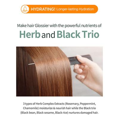 Milk Baobab High Cera Shampoo Verbena 500 ml - Shampoos