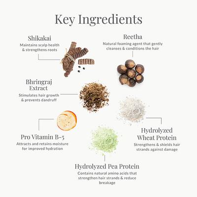 Forest Essentials Hair Cleanser Bhringraj & Shikakai Shampoo 200 ml - Shampoos