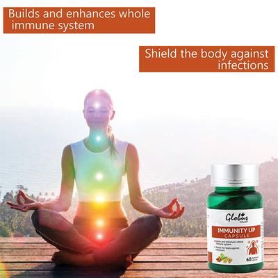 Globus Naturals Ayurvedic Immunity Up Kadha Capsule 1's - Speciality Medicines