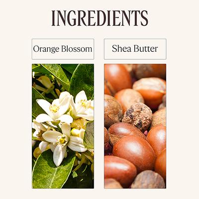 L'Occitane Neroli & Orchidee Body Milk 250ml - Lotions & Creams