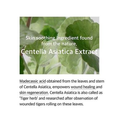 Mixsoon Soondy Centella Asiatica Essence 100 ml - Face Serum