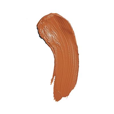 Makeup Revolution Fast Base Stick Foundation F13 6.2 gm - Foundation