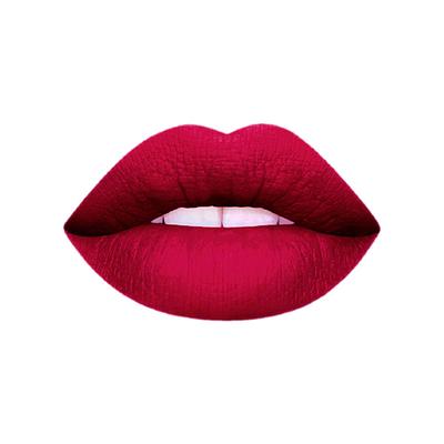 Matt Look Stay Matte Lipstick, Deep-Magenta 3.5 gm - Lipsticks