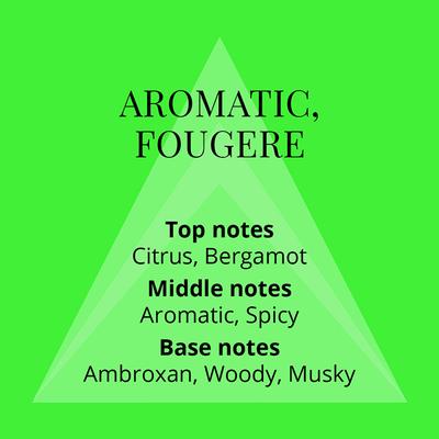 Colour Me Homme Volt Eau De Parfum 50 ml - Men Perfumes (Edt/Edp)