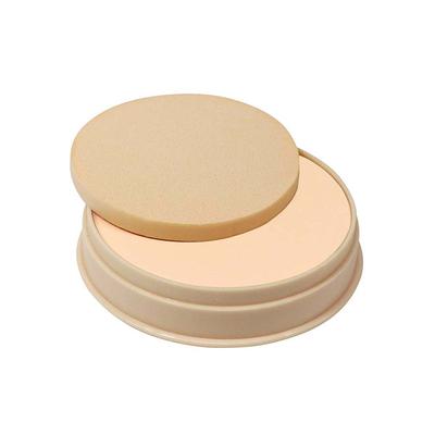 Matt Look CC Oil Control Powder Stay Matte, Fair 20 gm - Compact Powder