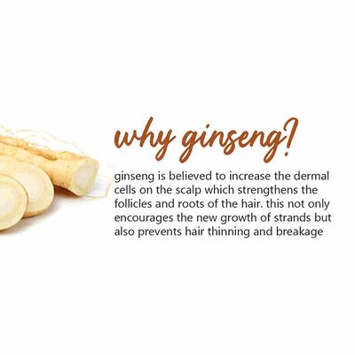 Plum Ginseng Gentle Rinse Shampoo Fragrance-Free 300ml - Shampoos