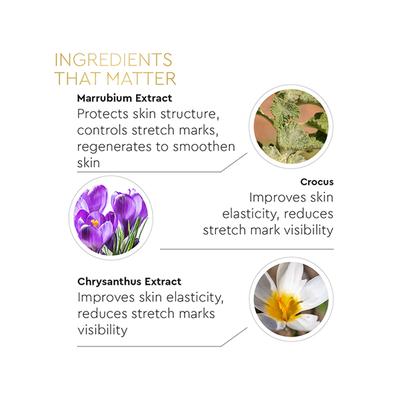 VLCC Clinic Stretch Mark Cream 100 gm - Lotions & Creams