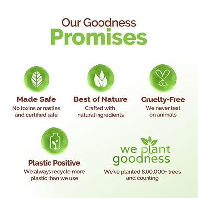 Mamaearth Tea Tree Oil Control Face Pack with Tea Tree & Salicylic Acid Normal to Oily Skin 200 gm - Face Packs