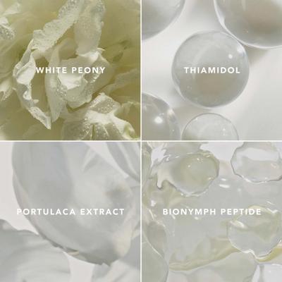 Chantecaille Blanc Peony Face Cream Dark Spot Corrector 50 ml - Face Moisturizers