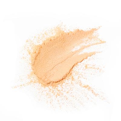 PAC Translucent Powder 08 10 gm - Loose Powder