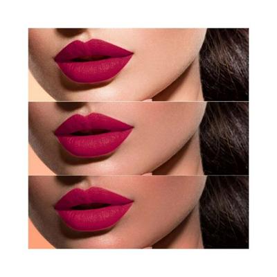 Lotus Makeup PROEDIT Liquid Matte LIP ROSE REBEL PLC08 8 gm - Liquid Lipsticks