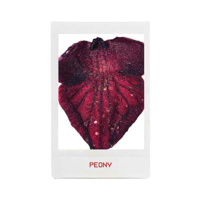 Smashbox Photo Finish Revitalize 8 in 1 Primer Essence 30 ml - Primer