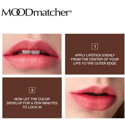 Fran Wilson Moodmatcher Brown 3.5 gm - Lipsticks