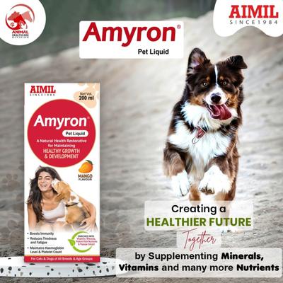 AIMIL Amyron PET Liquid 200 ml - Pet Healthcare