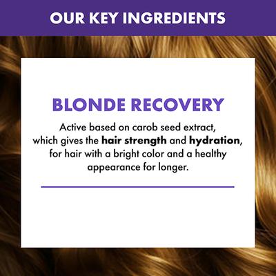 Alfaparf Milano Blonde Hair Shampoo (Anti Yellow Hair) for Colored Hair 250 ml - Shampoos