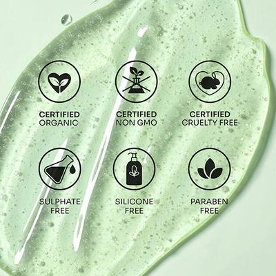 Mintree Certified Organic 2% Retinol Anti-Aging Serum, Reduces Wrinkles and Fine Lines 30 ml - Face Serum