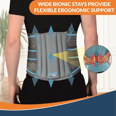 AccuSure Lumbo Support Belt (L) 1's - Knee/Leg Supports