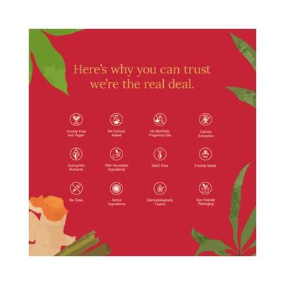 Juicy Chemistry BHA Serum, , for Face Acne Control & Pitted Scars, Exfoliates & Improves 30.0 ml - Face Oils