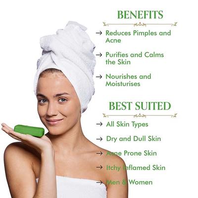 TAC The Ayurveda Co. Tea Tree & Giloy Sugar Soap (Pack of 3 x 100 gm) - Personal Care (Ayush)